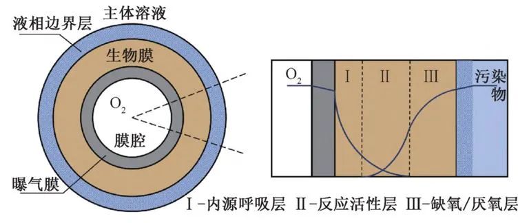 王志伟教授团队：膜曝气生物膜反应器数学模型的研究进展