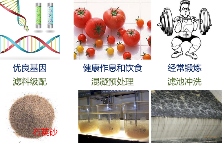 饮用水水质指标及处理技术科普：滤池的优化运行