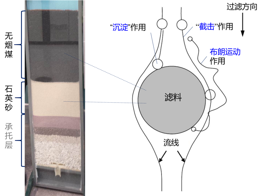 饮用水水质指标及处理技术科普：滤池的优化运行