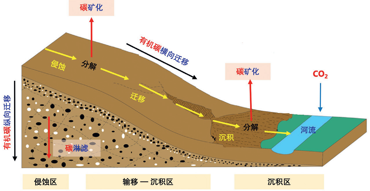 水土保持碳汇若干关键问题研究