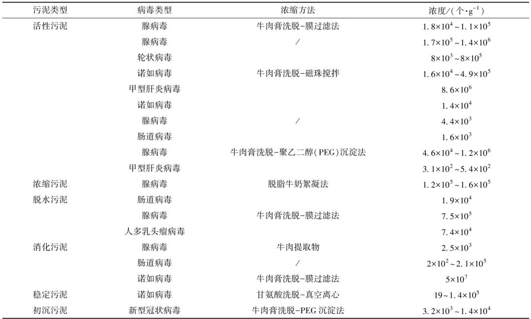 污水处理厂中典型肠道病毒的分布与检测方法及其风险评估