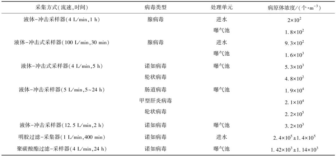 污水处理厂中典型肠道病毒的分布与检测方法及其风险评估