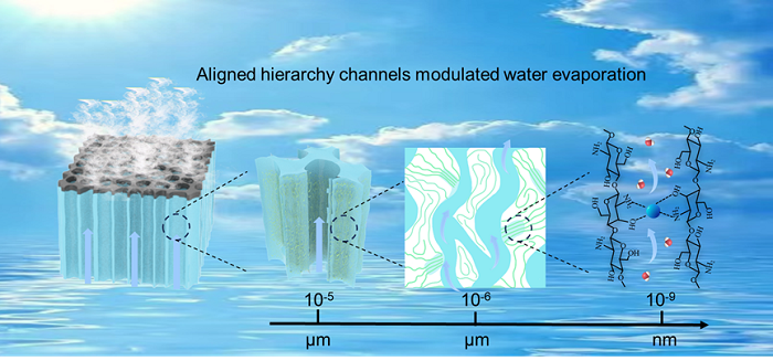 具有多级通道的太阳能驱动渗透气化膜可实现高效海水淡化