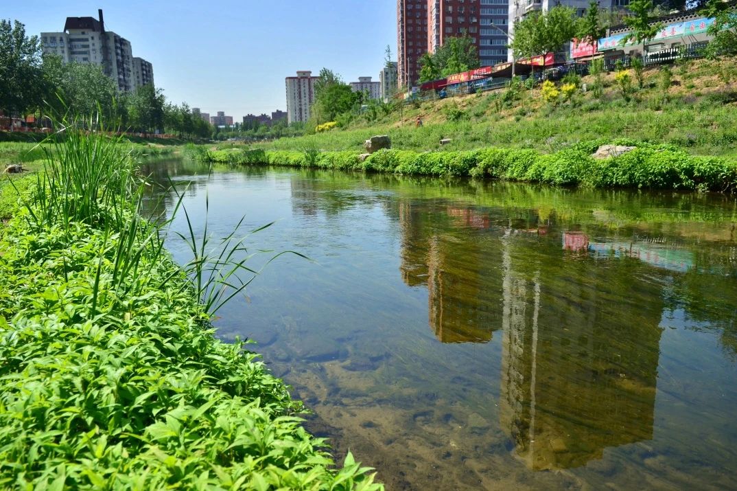 北京排水集团持续推进再生水生产利用 为城市提供稳定可靠的“第二水源”
