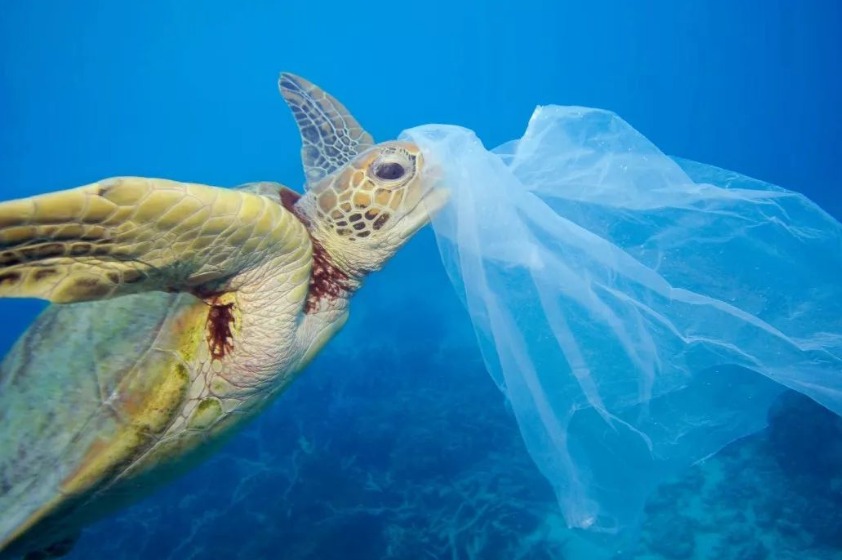 生态环境部：海洋垃圾污染防治将有新部署