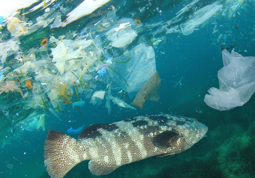 生态环境部：第三次海洋污染基线调查进展顺利