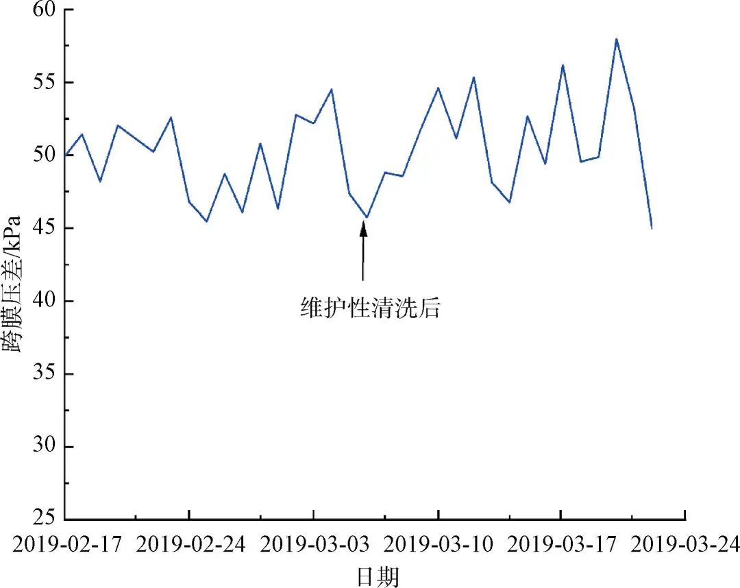 浸没式超滤膜在大型给水厂的应用与思考