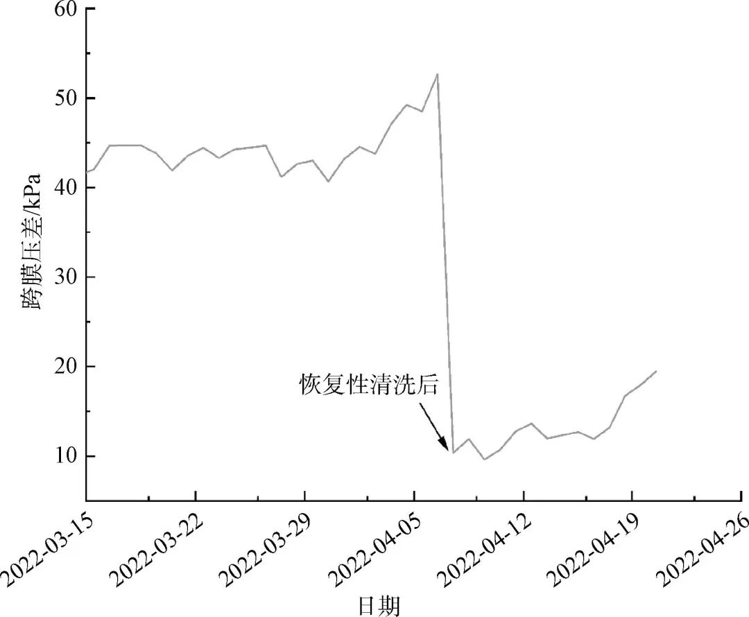 浸没式超滤膜在大型给水厂的应用与思考