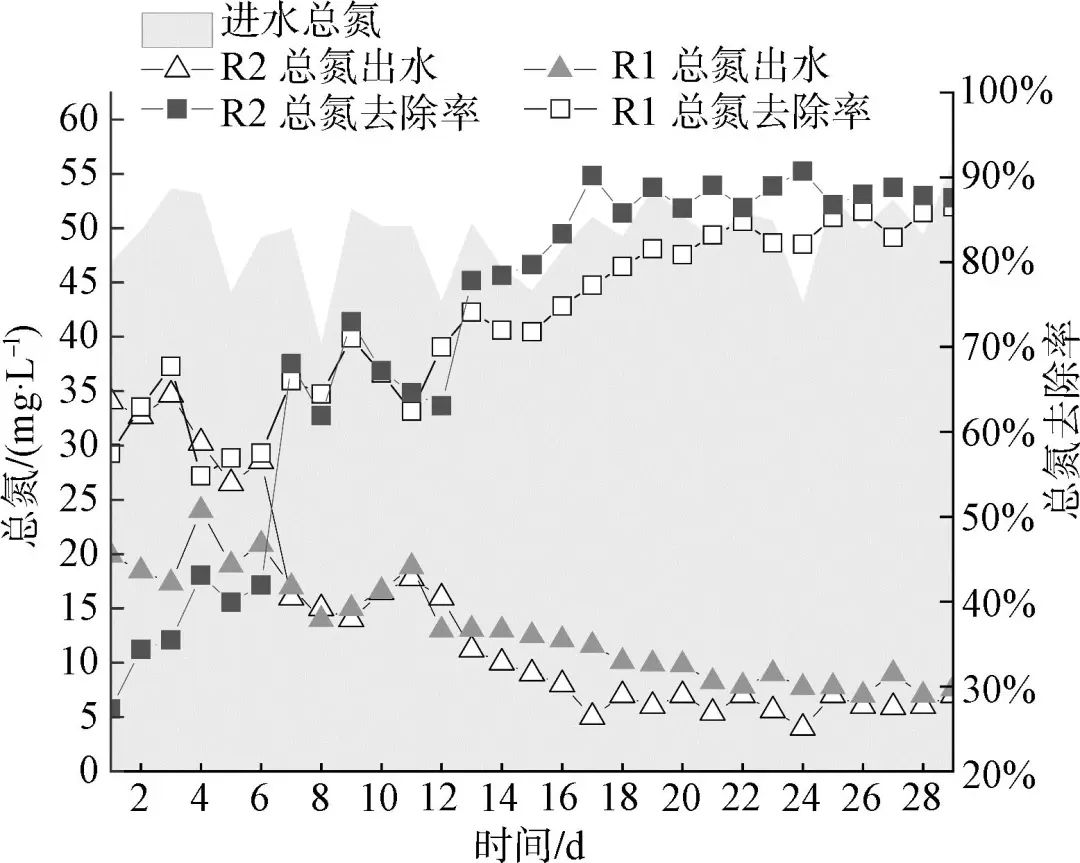 磁环境下AAO工艺中的微生物群落演替规律