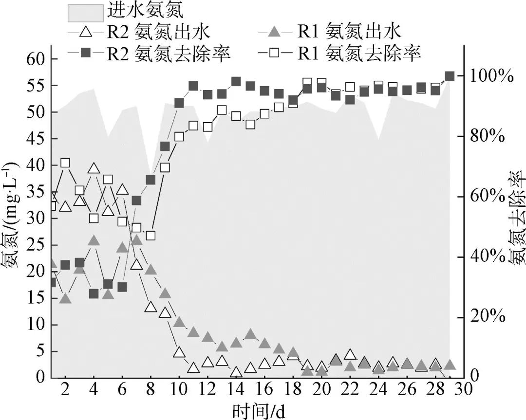 磁环境下AAO工艺中的微生物群落演替规律