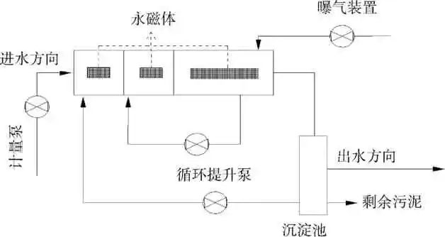 磁环境下AAO工艺中的微生物群落演替规律