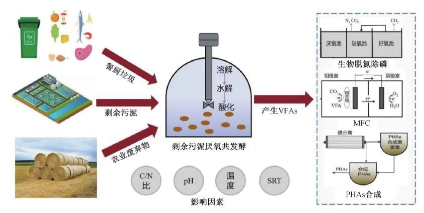 陈银广教授团队：低碳背景下剩余污泥厌氧共发酵产酸研究进展