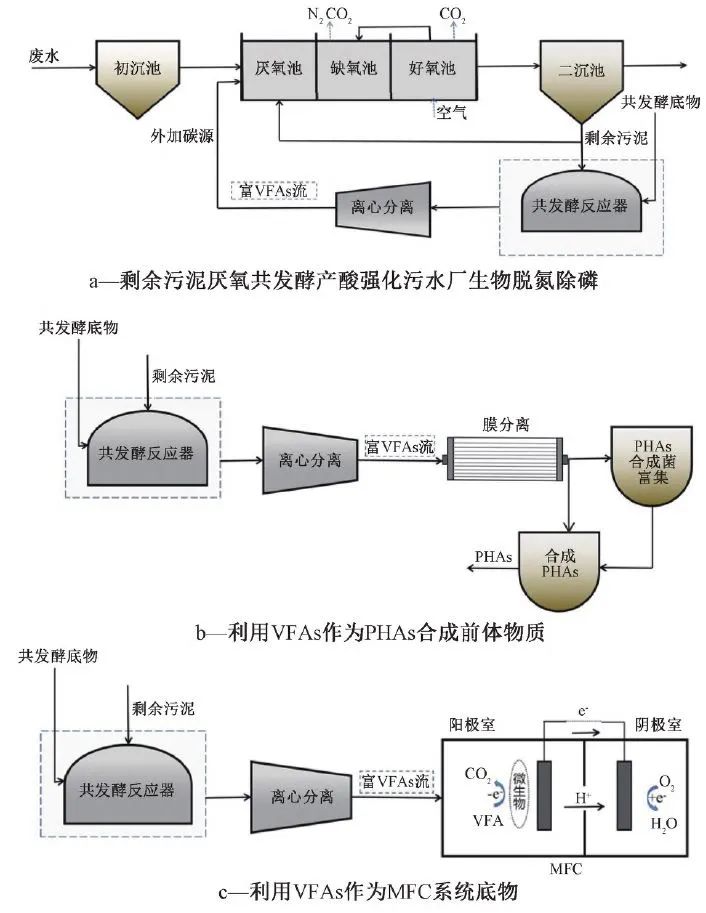 陈银广教授团队：低碳背景下剩余污泥厌氧共发酵产酸研究进展