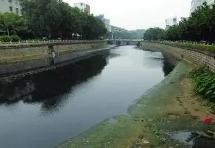 “龙须沟”变身清水河 大连市农村黑臭水体治理见成效