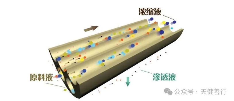 中国膜产业新焦点：陶瓷膜凭什么C位出道？