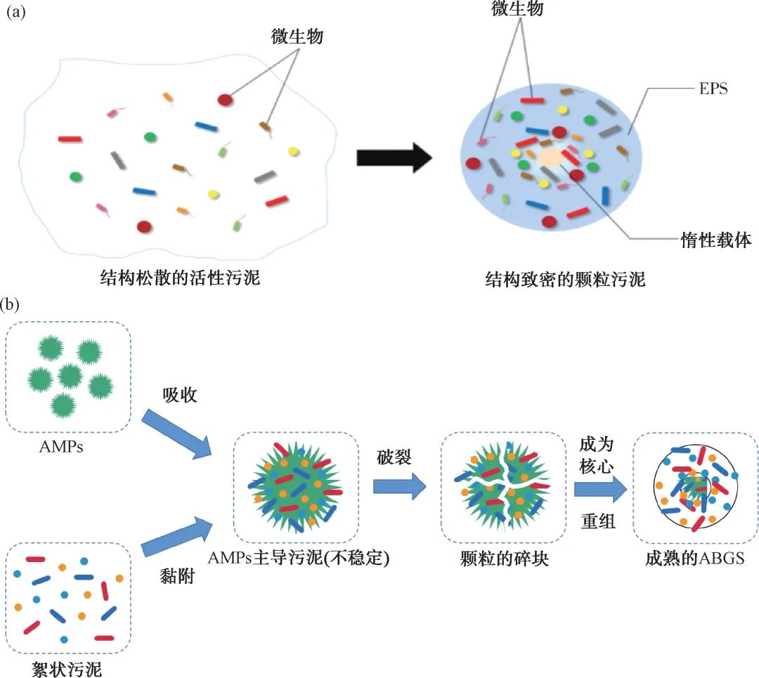 综述：连续流反应器中好氧颗粒污泥快速培养