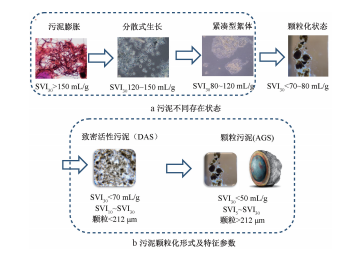 污水生化处理工艺发展阶段化技术特征及未来趋势