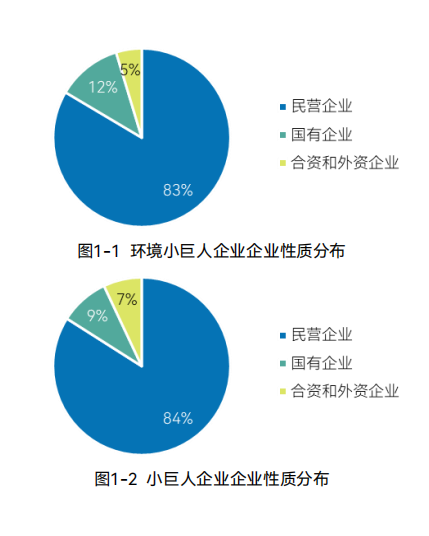 《环境专精特新领跑企业发展报告》--533家小巨人企业分析