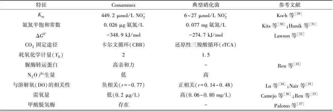 揭秘全程氨氧化菌：从其发现、生态分布到生理生化特性