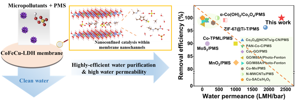清华大学张正华团队ACB：CoFeCu-LDH膜孔纳米通道内的纳米限域催化水净化