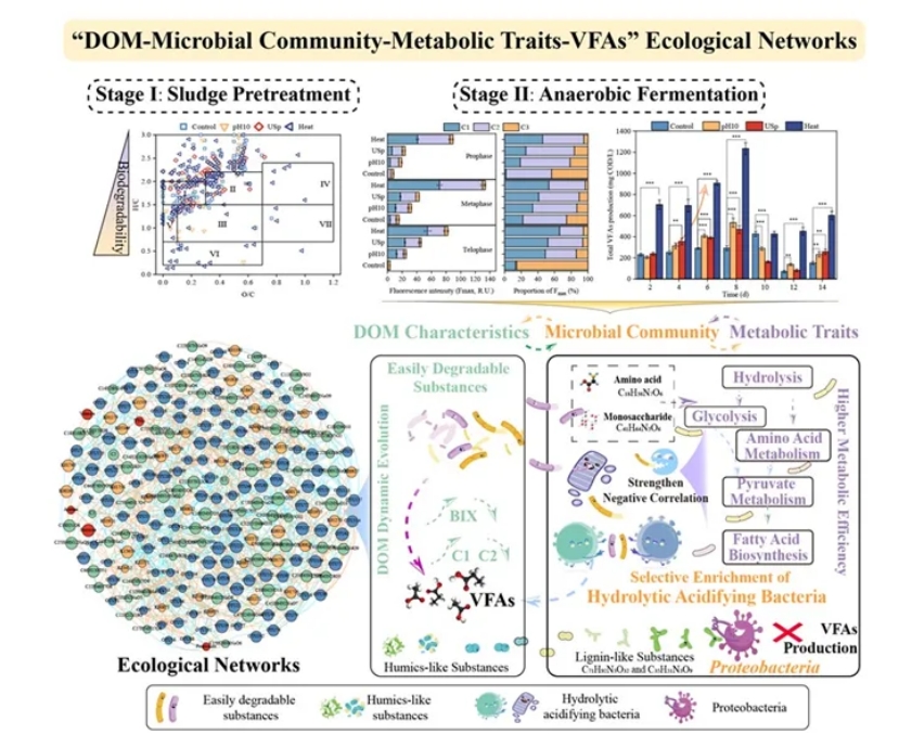 河海大学罗景阳团队WR：不同预处理条件下污泥厌氧发酵系统中DOM动态演变特征与微生物群落响应关系解析