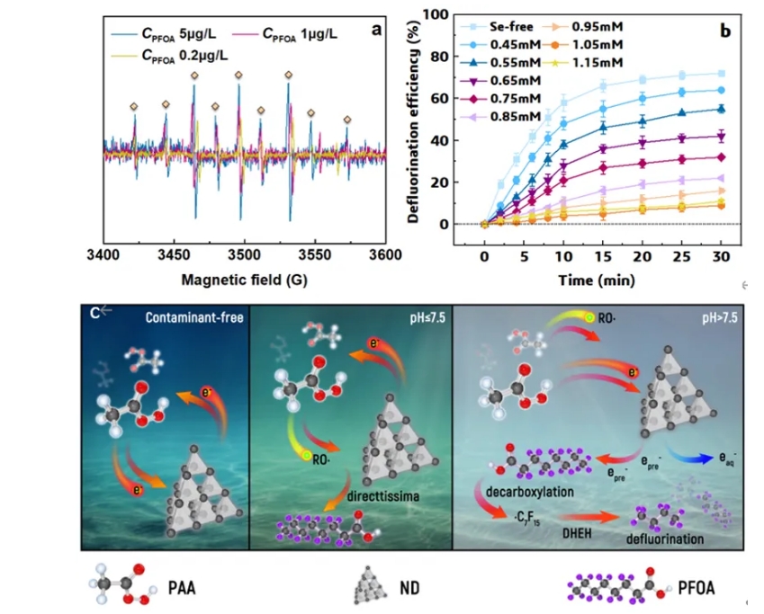 清华大学孙文俊团队ES&T：纳米碳介导的过氧乙酸均解引起的连续电子转移产生预水合电子促进PFOA降解