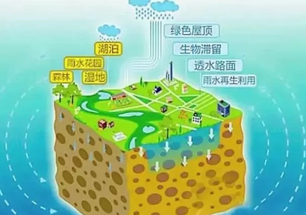 “以水定绿”的内涵、实践探索和实施路径