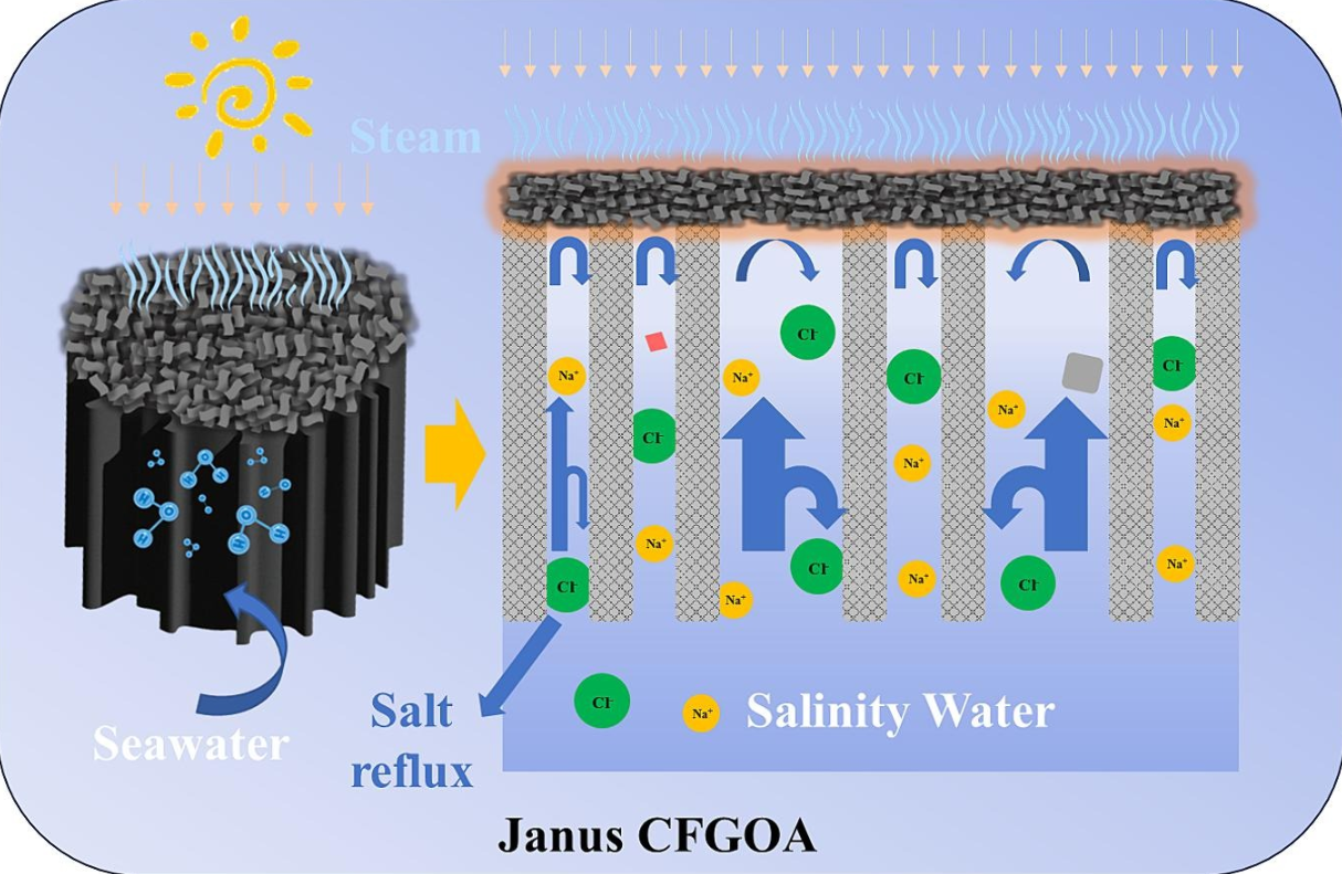 海水淡化新突破：高效抗盐Janus分层多孔结构碳石墨烯复合气凝胶