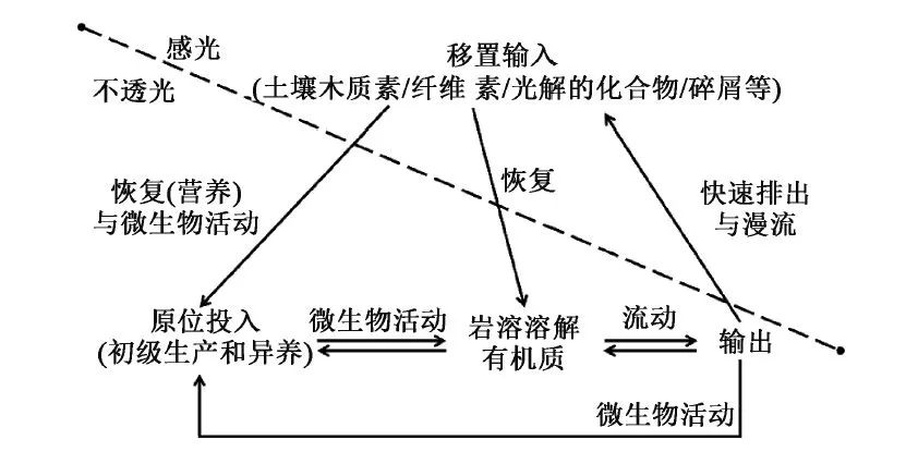 韦朝海教授团队：水体溶解性有机物的性质特征、分析手段与环境效应