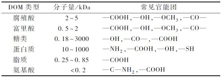 韦朝海教授团队：水体溶解性有机物的性质特征、分析手段与环境效应