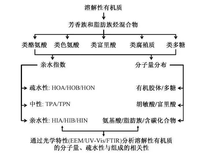 韦朝海教授团队：水体溶解性有机物的性质特征、分析手段与环境效应