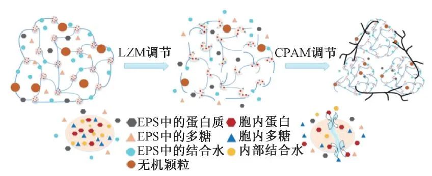 韦朝海教授团队：水体溶解性有机物的性质特征、分析手段与环境效应