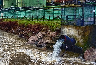 从濒临消失的万亩果园到最美城央湿地 广州海珠用了“4步”