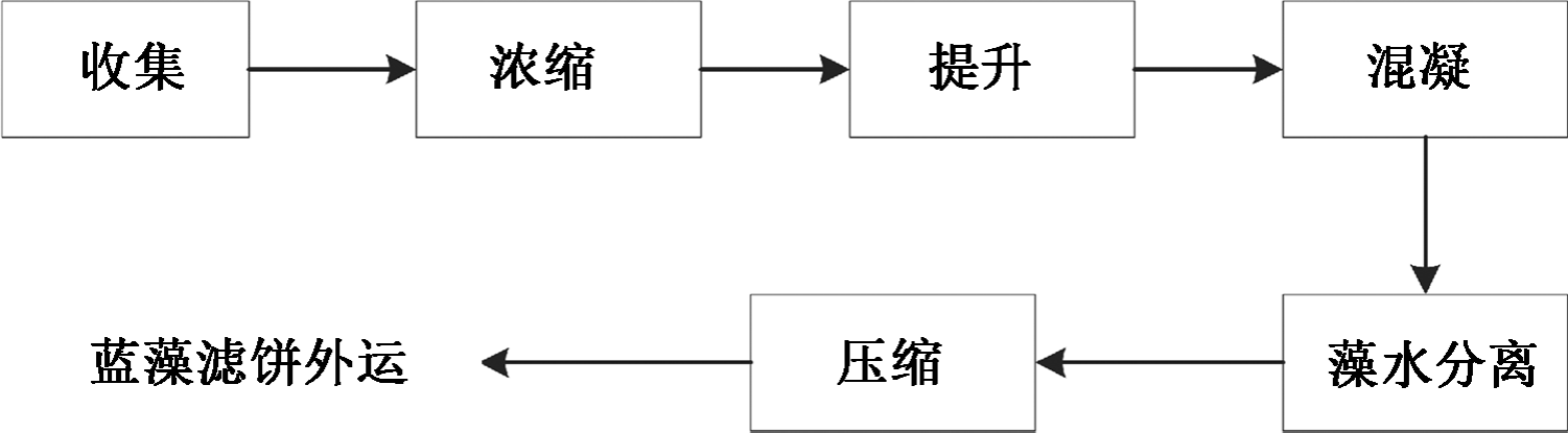 典型水污染事故应急处置实用技术