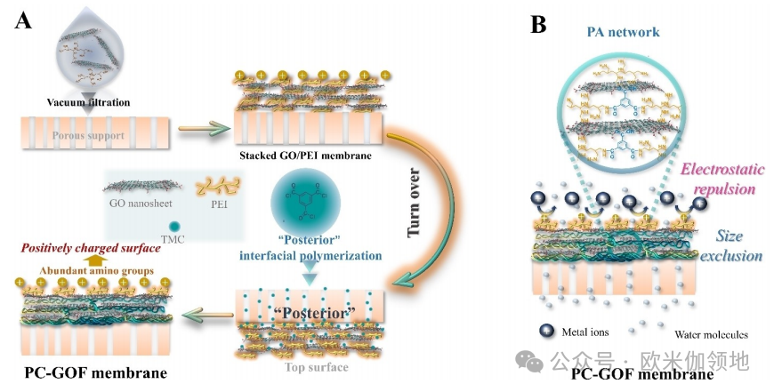 用于离子分离的界面聚合分离膜最新进展