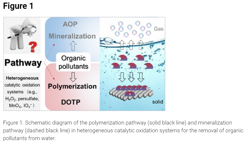 挑战传统认知：水处理高级氧化过程中 有机物是矿化还是聚合？