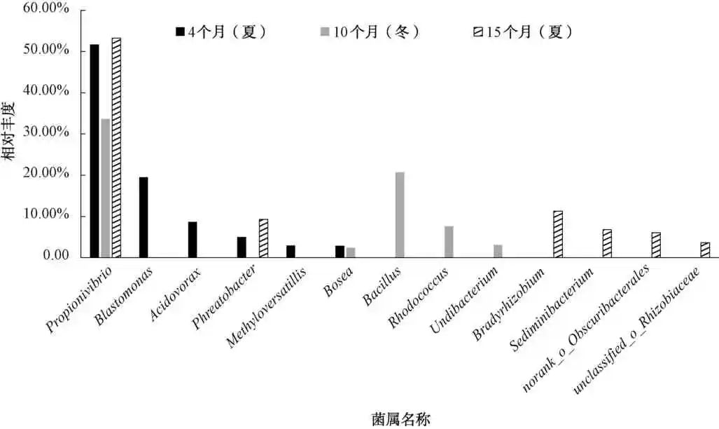 不同消毒方式下的微生物群落组成及对管段腐蚀的影响