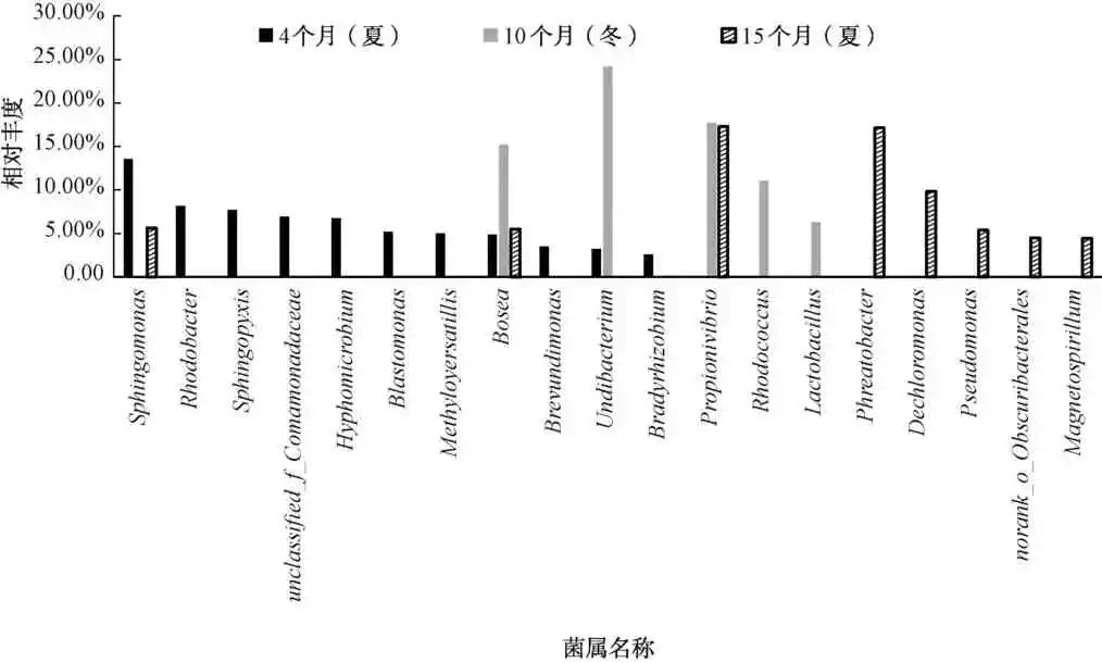 不同消毒方式下的微生物群落组成及对管段腐蚀的影响