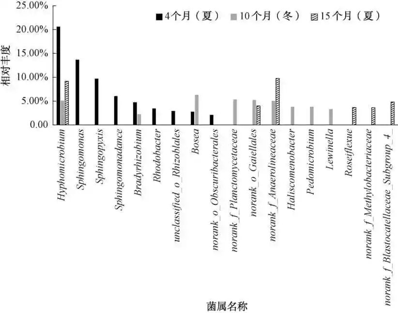 不同消毒方式下的微生物群落组成及对管段腐蚀的影响