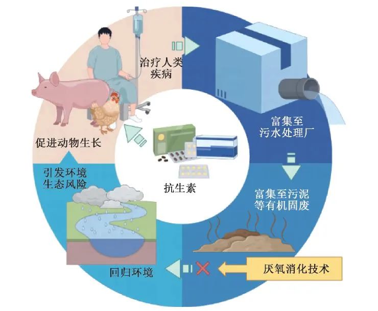 典型抗生素对污泥厌氧消化效能的影响及调控策略研究进展