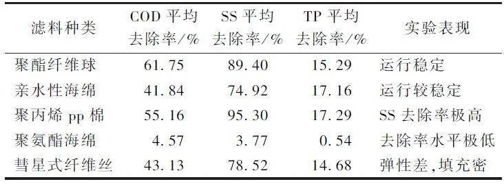 王洪臣教授团队：溢流污水快速过滤工艺的运行效能与机理研究