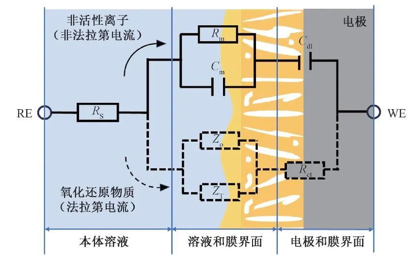 王志伟教授团队：电化学阻抗谱技术表征纳滤和反渗透膜污染及膜传质过程研究与应用进展