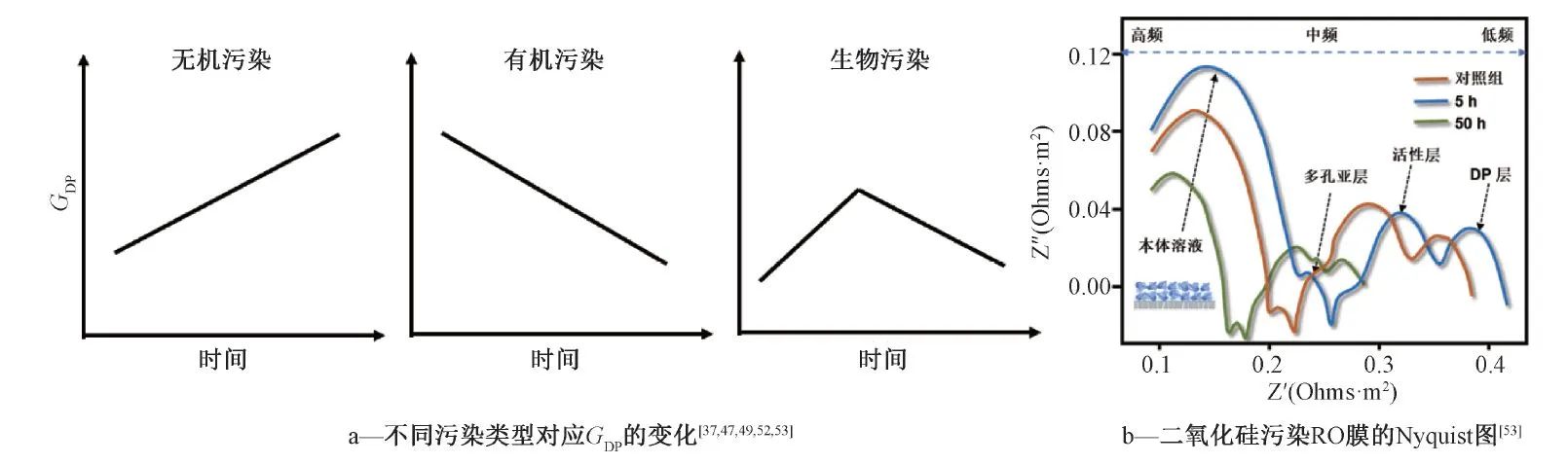 王志伟教授团队：电化学阻抗谱技术表征纳滤和反渗透膜污染及膜传质过程研究与应用进展