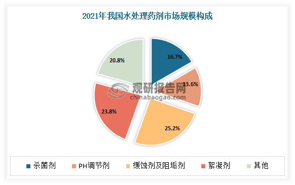 中国水处理药剂行业发展趋势分析与投资前景研究报告（2024-2031年）