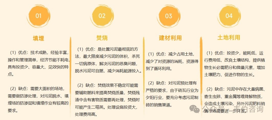 2024年中国污泥处理行业专题调研与深度分析报告