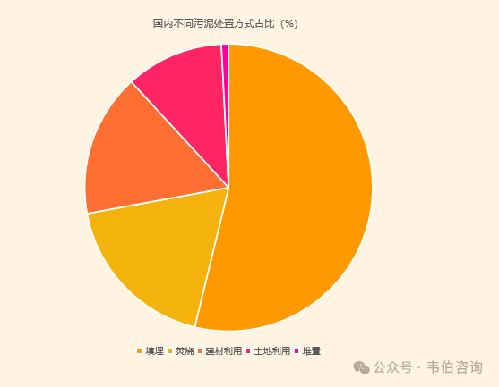 2024年中国污泥处理行业专题调研与深度分析报告