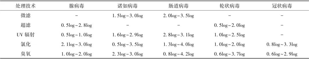 城镇污水污泥处理处置流程中典型病毒的发生及潜在风险