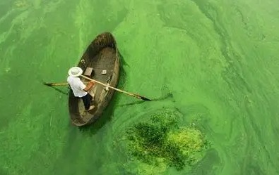 目标可持续！荷兰正在测试若干水处理技术