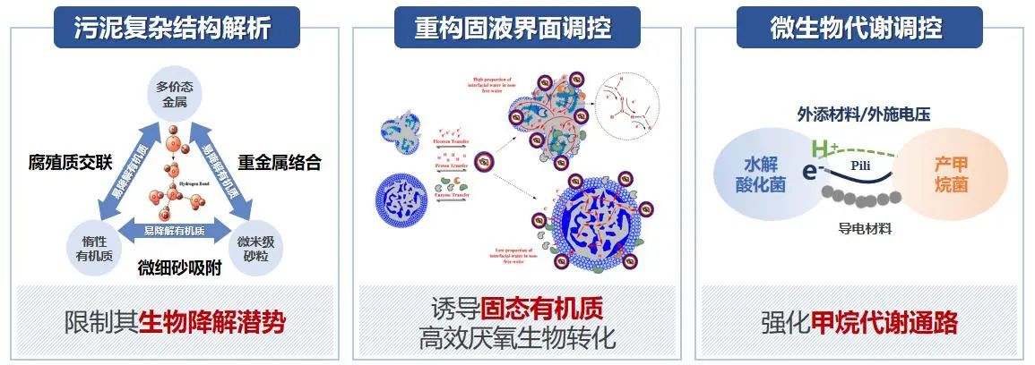 戴晓虎：低碳处理为目标 资源利用为导向 驱动未来污泥技术创新