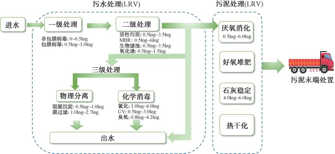 城镇污水污泥处理处置流程中典型病毒的发生及潜在风险